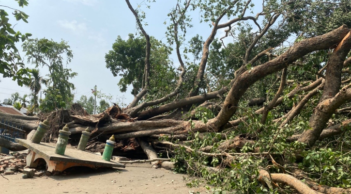 ঝড়ে ভেঙে পড়ল ২০০ বছরের পুরোনো বটগাছ